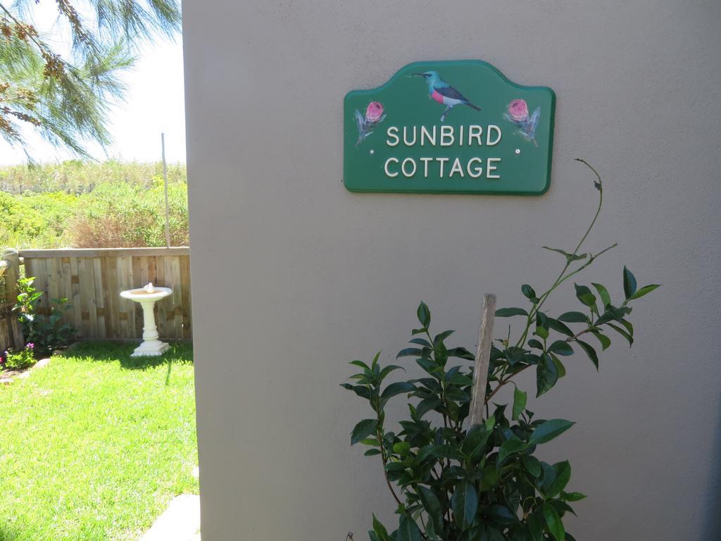 Sunbird Cottage Noordhoek Exterior photo
