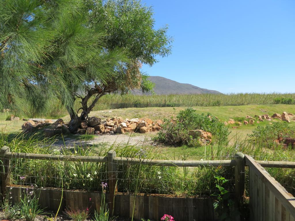 Sunbird Cottage Noordhoek Exterior photo